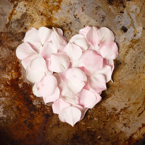 Cuore da petali di fiore — Foto Stock