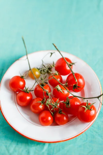 Tomates frescos y alegres —  Fotos de Stock