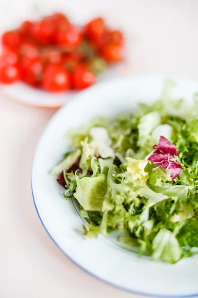Sałatka wegetariańska zielony — Zdjęcie stockowe
