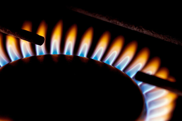 Gas flame of domestic oven