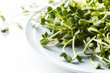 Ayçiçeği lahanası plaka üzerinde