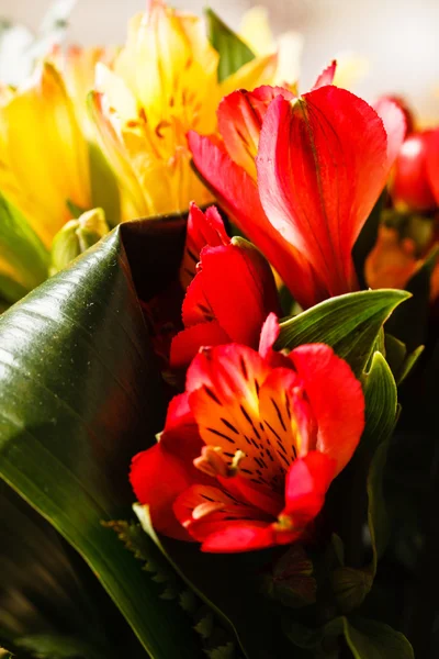 Bonito ramo de flores — Foto de Stock