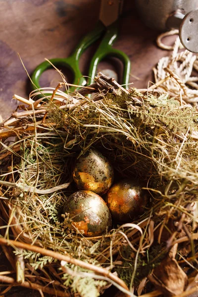 Guldägg i boet — Stockfoto