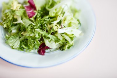 Vejetaryen yeşil salata