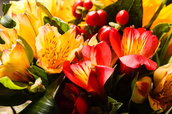 Szép sárga virágok — Stock Fotó