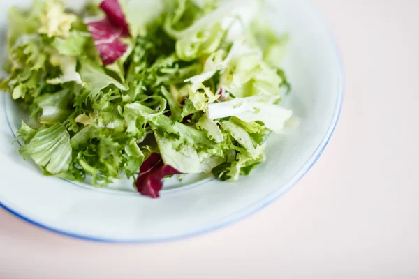 Zelené vegetariánský salát — Stock fotografie