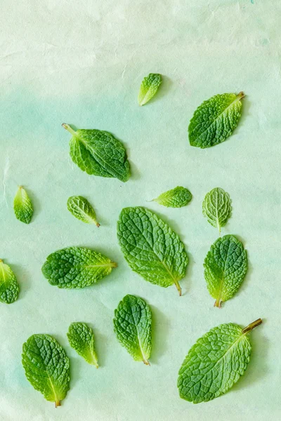 Fresh mint leaves — Stock Photo, Image