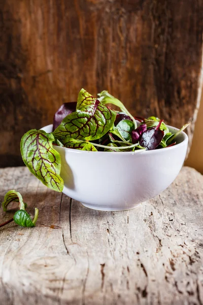 Folhas de salada fresca — Fotografia de Stock