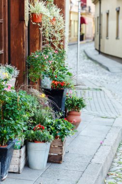 Çiçekler tencere açık