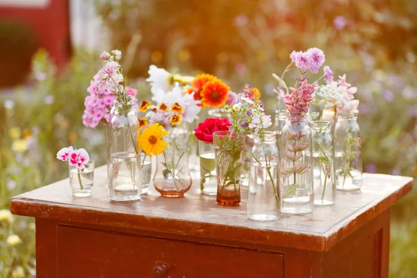 Blommor i flaskor stilleben — Stockfoto