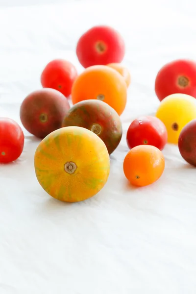 Olgun renk domates — Stok fotoğraf