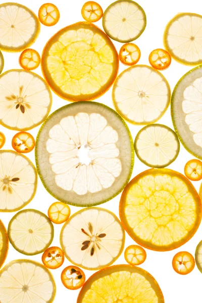 Citrus fruits closeup — Stock Photo, Image