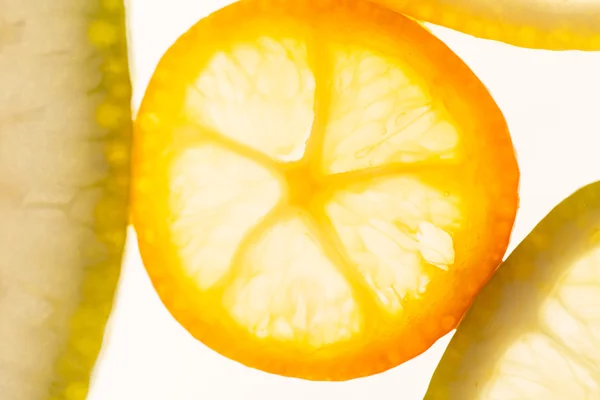 Vértes citrusfélék — Stock Fotó