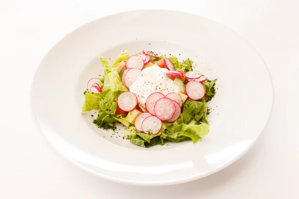 Salat mit Rettich — Stockfoto