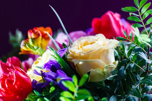 Strauß bunter Blumen — Stockfoto