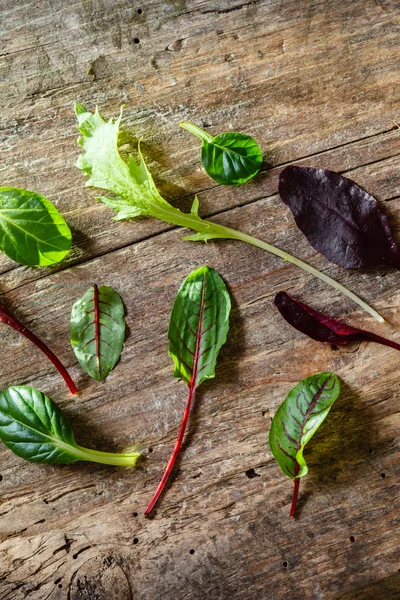 Folhas de salada fresca — Fotografia de Stock