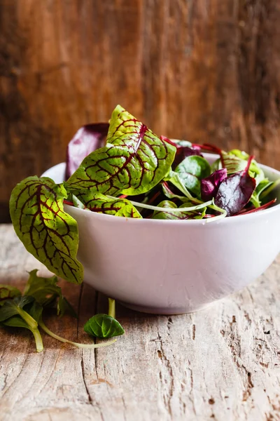 Taze salata yaprakları — Stok fotoğraf