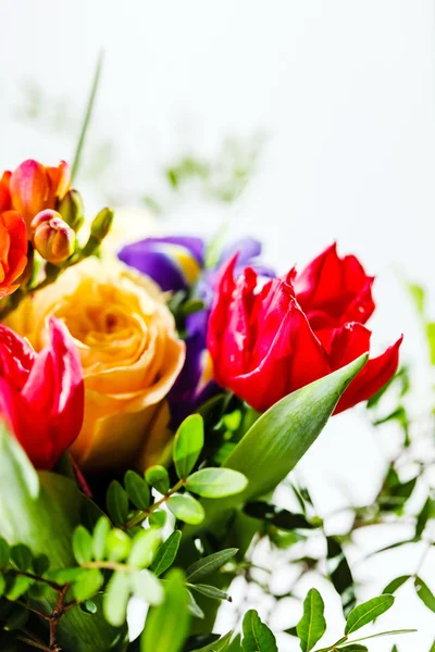 Gäng tulip och rosa blommor — Stockfoto