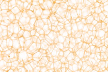 Hücre closeup arka planı