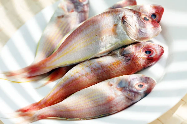 Peixes dorados japoneses — Fotografia de Stock