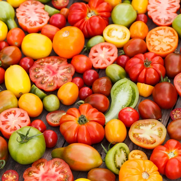 Färgglada tomater bakgrund — Stockfoto
