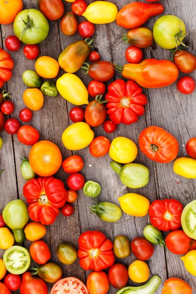Fondo de tomates coloridos — Foto de Stock