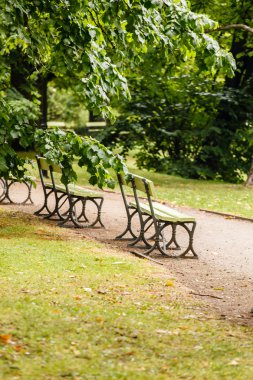 parkta yeşil tezgah