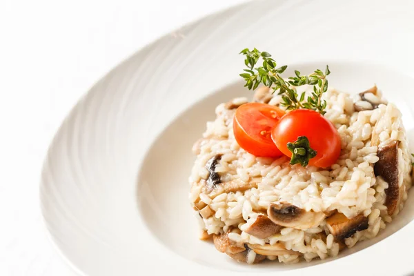 Risotto con setas de cerca —  Fotos de Stock