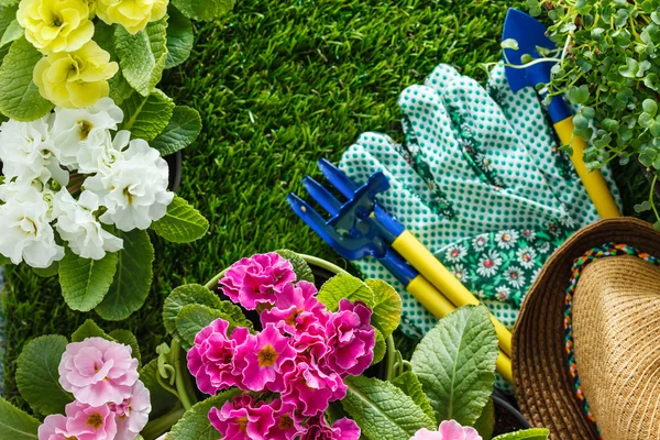 Lentebloemen op gras — Stockfoto