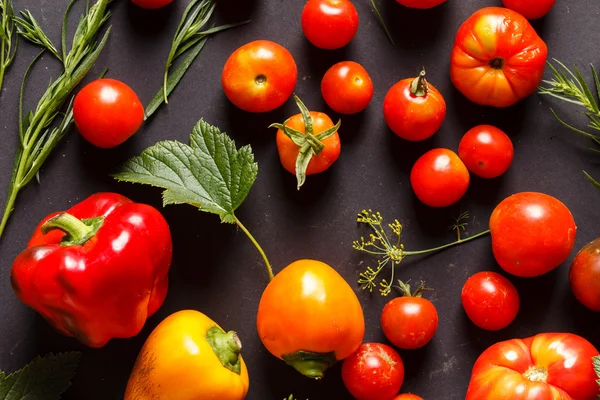 Produtos hortícolas frescos e maduros — Fotografia de Stock