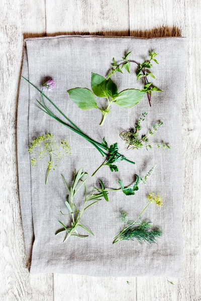 Herbes fraîches sur fond blanc — Photo