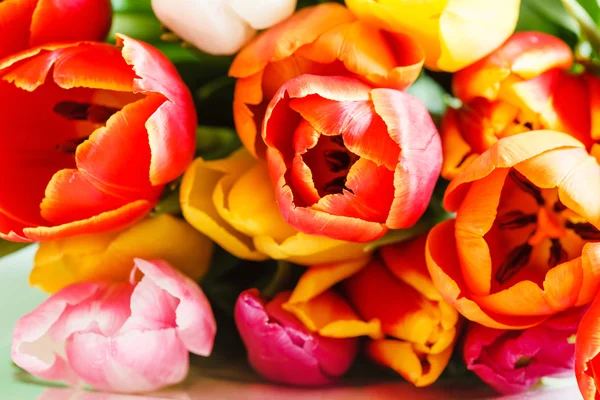 カラフルなチューリップの花 — ストック写真