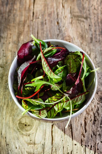 Hojas de ensalada fresca — Foto de Stock