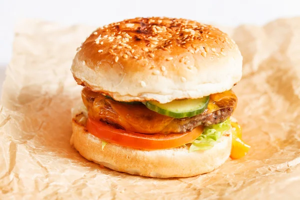 Kağıt üzerinde lezzetli burger — Stok fotoğraf