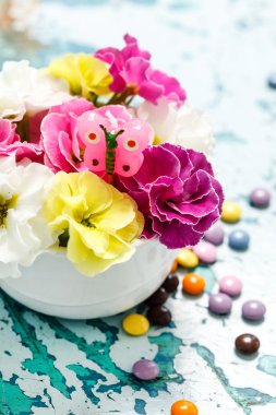 Parlak bahar çiçekleri