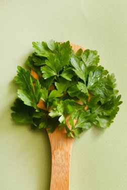 taze yeşil maydanoz