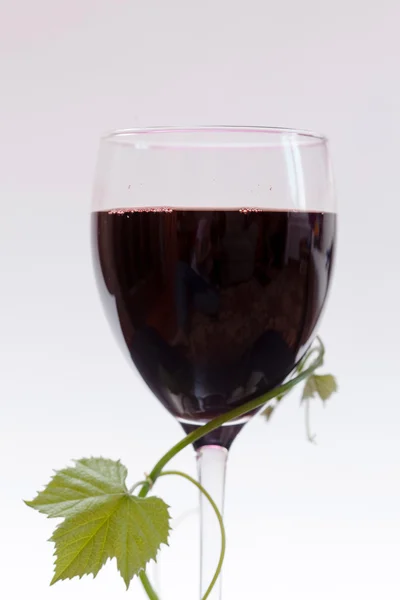 Red wine in glass — Stock Photo, Image