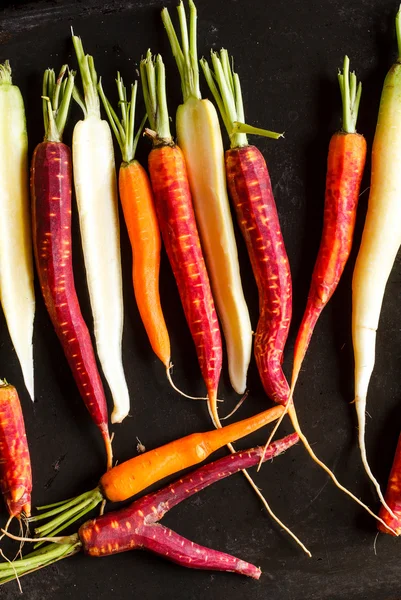 Colorful fresh carrots — Stock Photo, Image