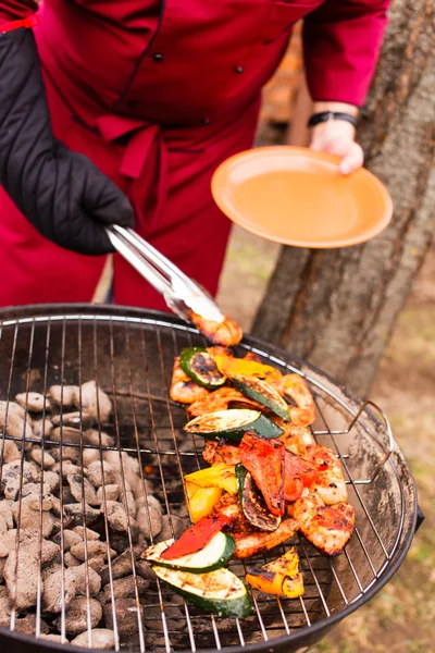 Grilled vegetables and chicken — Stock Photo, Image