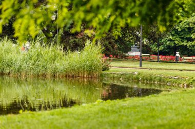 Bitkiler üzerine Nehri ile Park
