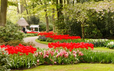 Bahar Çiçek Bahçesi