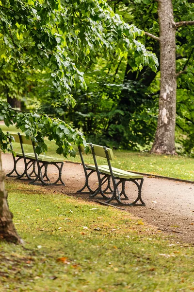 绿色的长椅，在公园里 — 图库照片