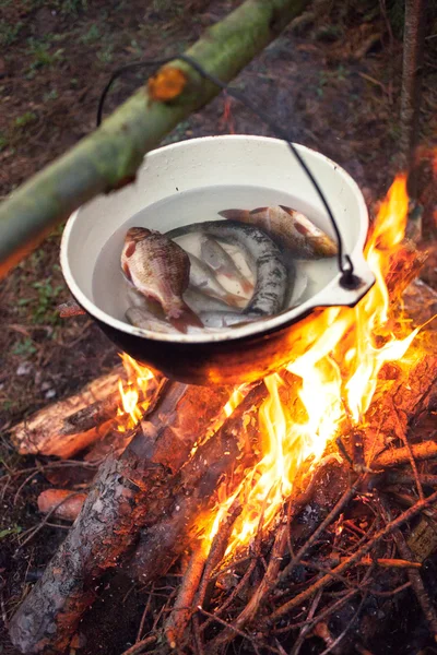Fischsuppe am Feuer — Stockfoto