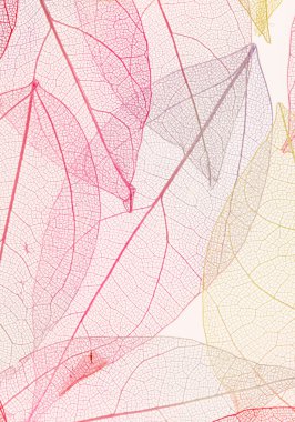 renkli yaprakları arka plan