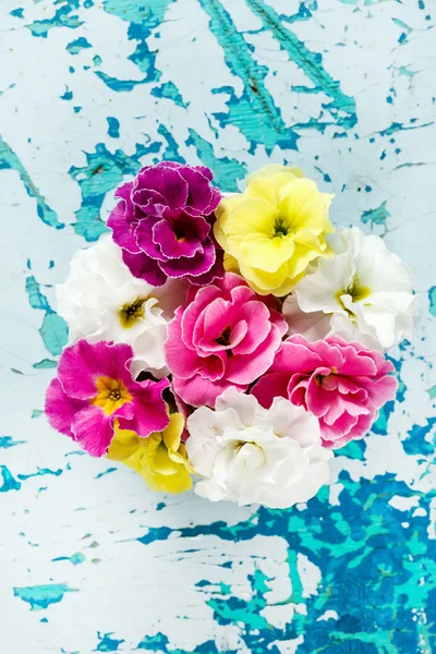 Flores brillantes de primavera — Foto de Stock