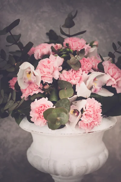 Nice pink  flowers — Stock Photo, Image