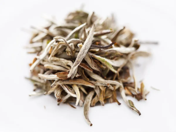Білий чай листя — стокове фото