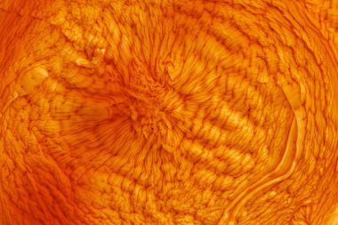 İtalyan panna cotta tatlı