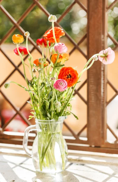 Persian buttercup flowers — Stock Photo, Image