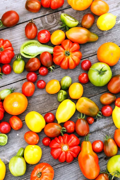 Kleurrijke rijpe tomaten — Stockfoto